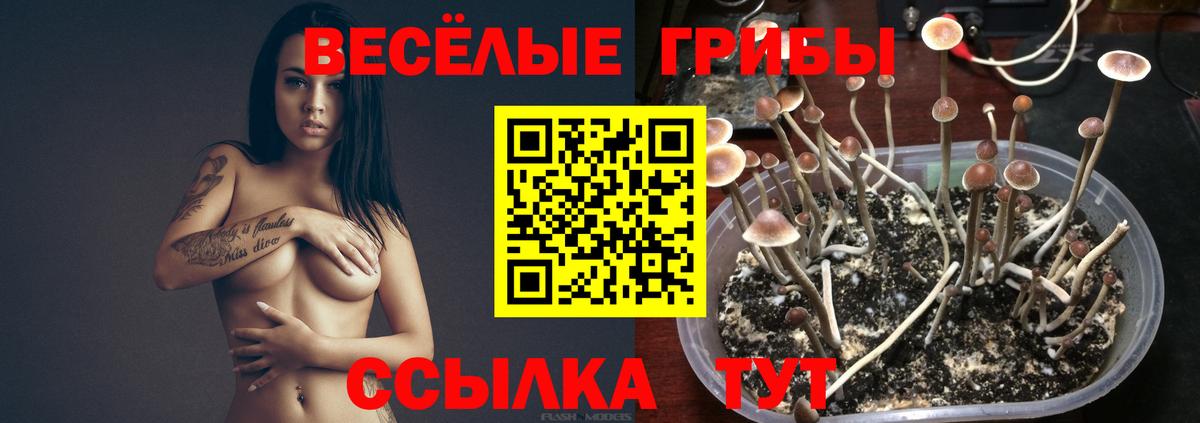 Псилоцибиновые грибы MAGIC MUSHROOMS  Галлюциногенные грибы мицелий  Вход с VPN  Кропоткин 